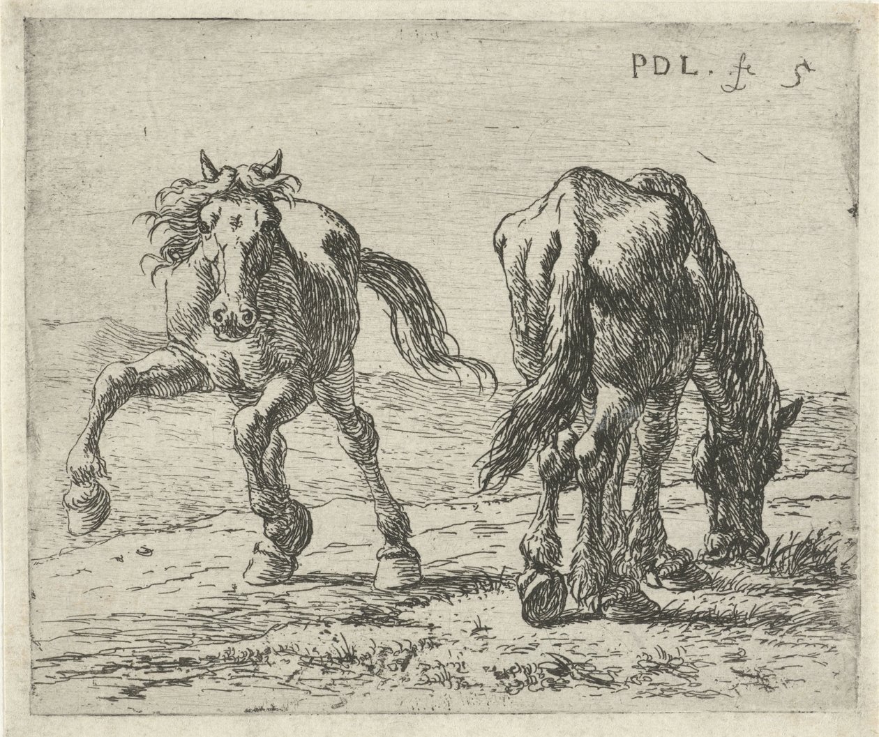 Dwa konie na łące Konie (tytuł serii) autorstwa Pieter Bodding van Laer