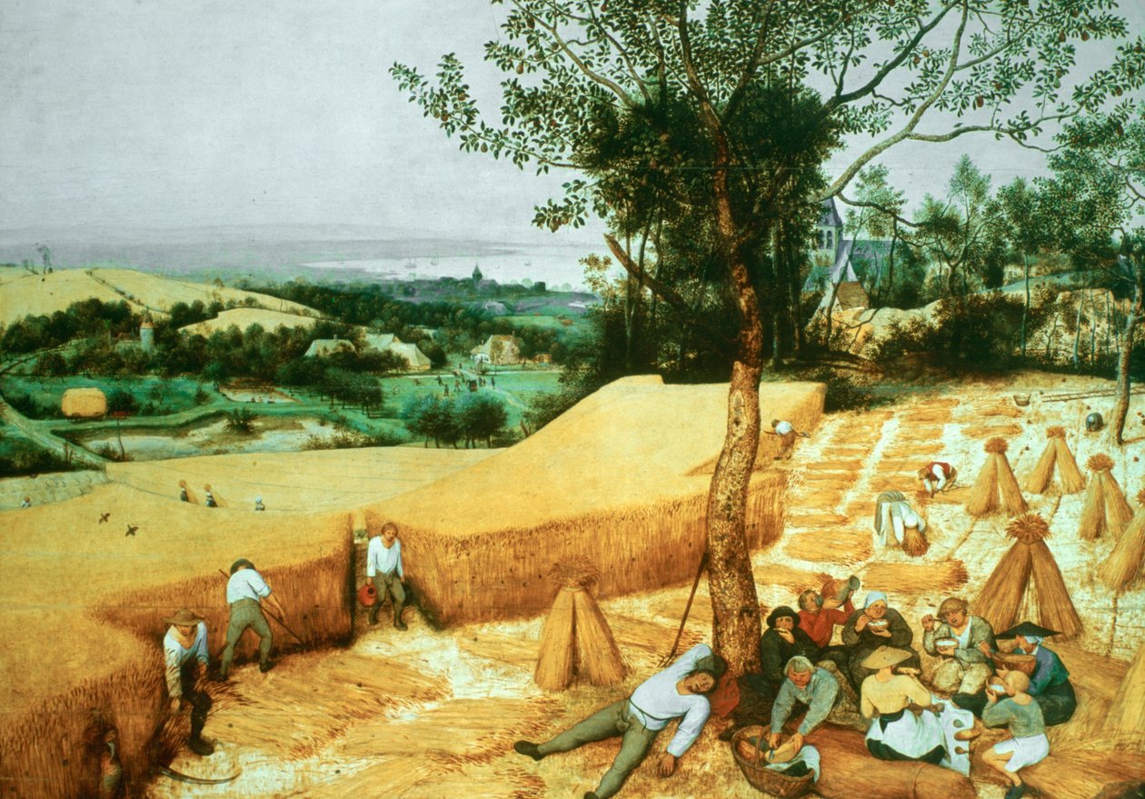 Żniwiarze, 1565 autorstwa Pieter Bruegel the Elder