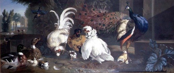 Paw, Kurczaki, Kaczki i Zimorodek autorstwa Pieter Casteels