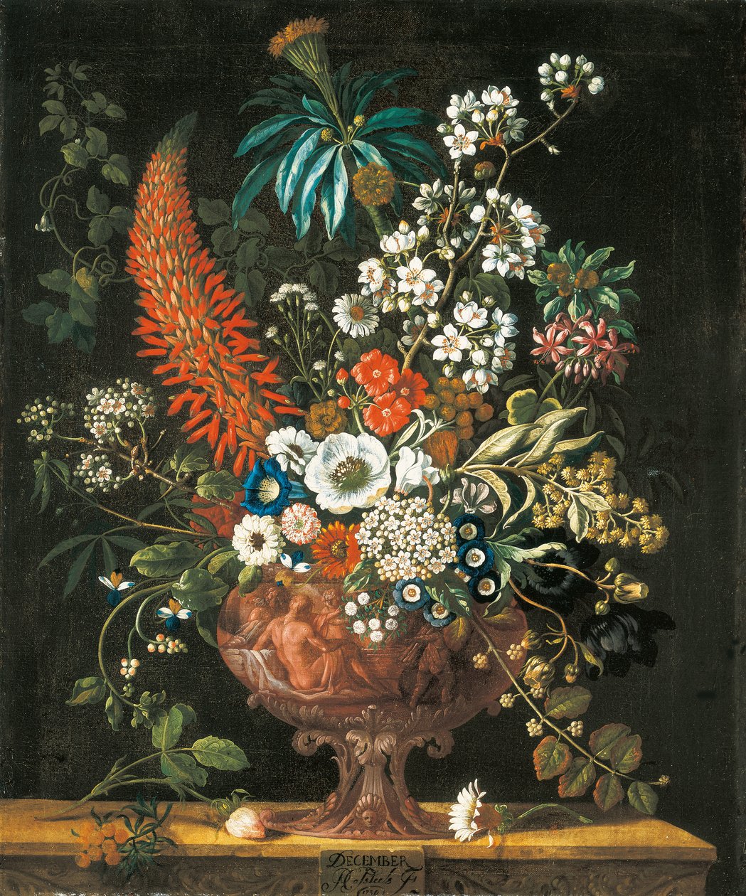 grudzień, z Dwunastu miesięcy kwiatów, kwiatowy kalendarz martwych natur, 1730 autorstwa Pieter Casteels