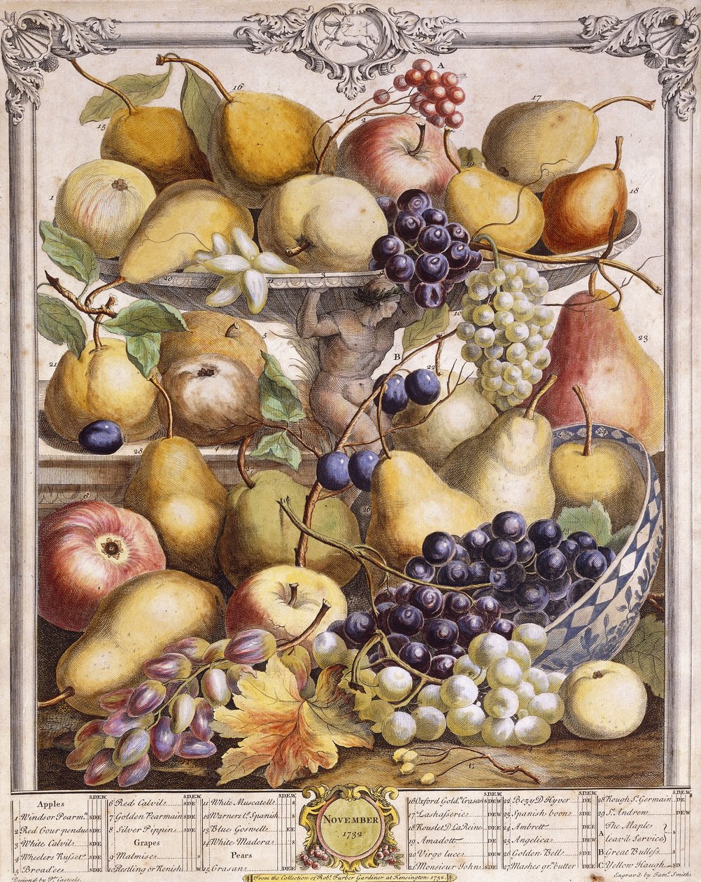 Listopad 1732, sezonowe jabłka, gruszki, winogrona itp., 1732 autorstwa Pieter Casteels