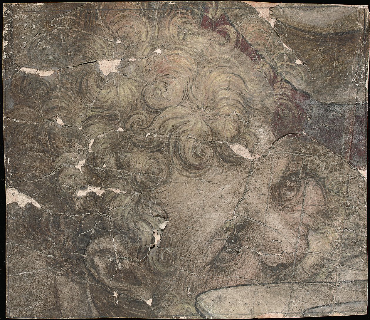 Głowa brodatego mężczyzny patrząca w górę autorstwa Pieter Coecke van Aelst