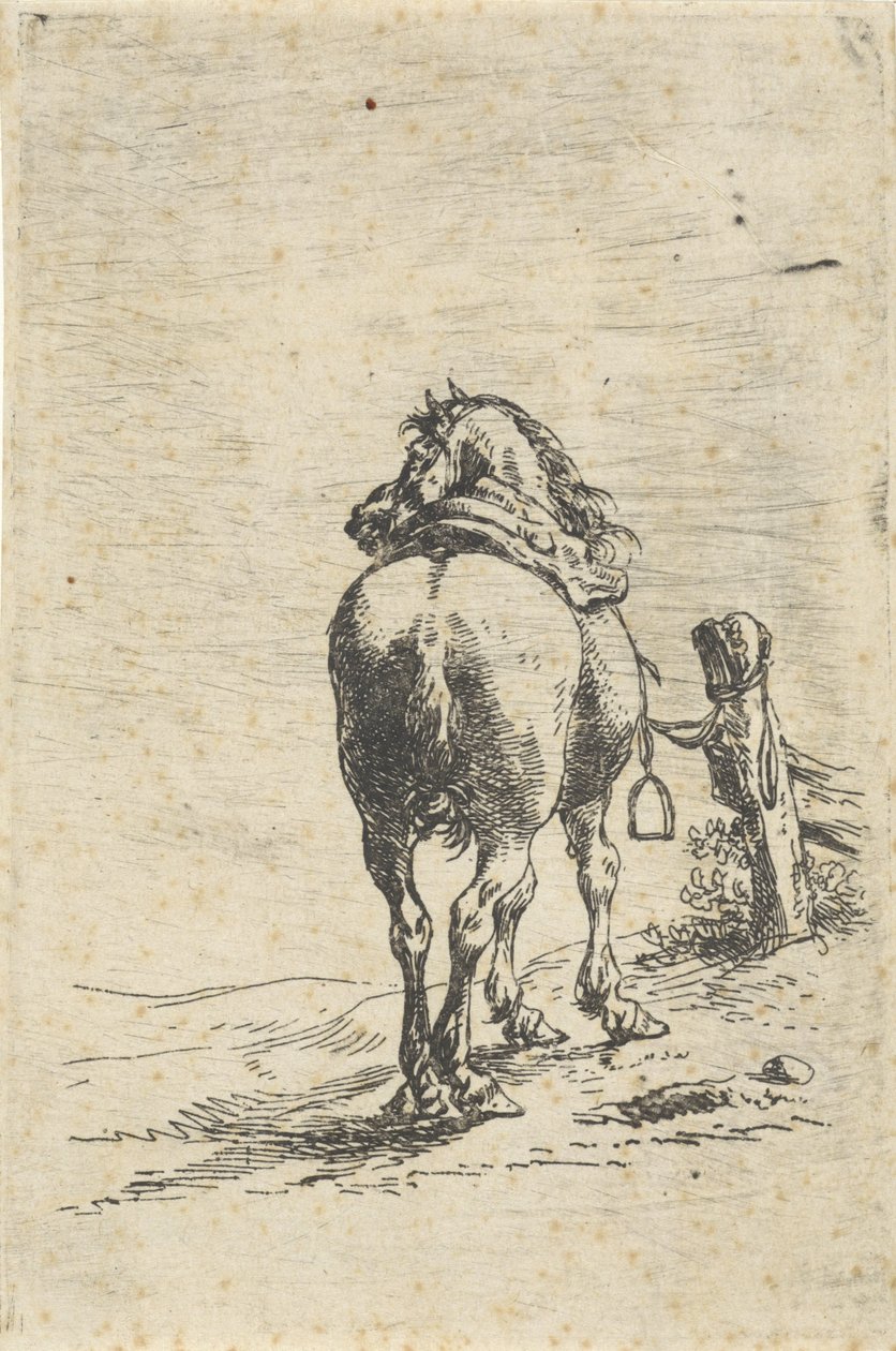 Osiodłany koń na słupie autorstwa Pieter Cornelisz. Verbeeck