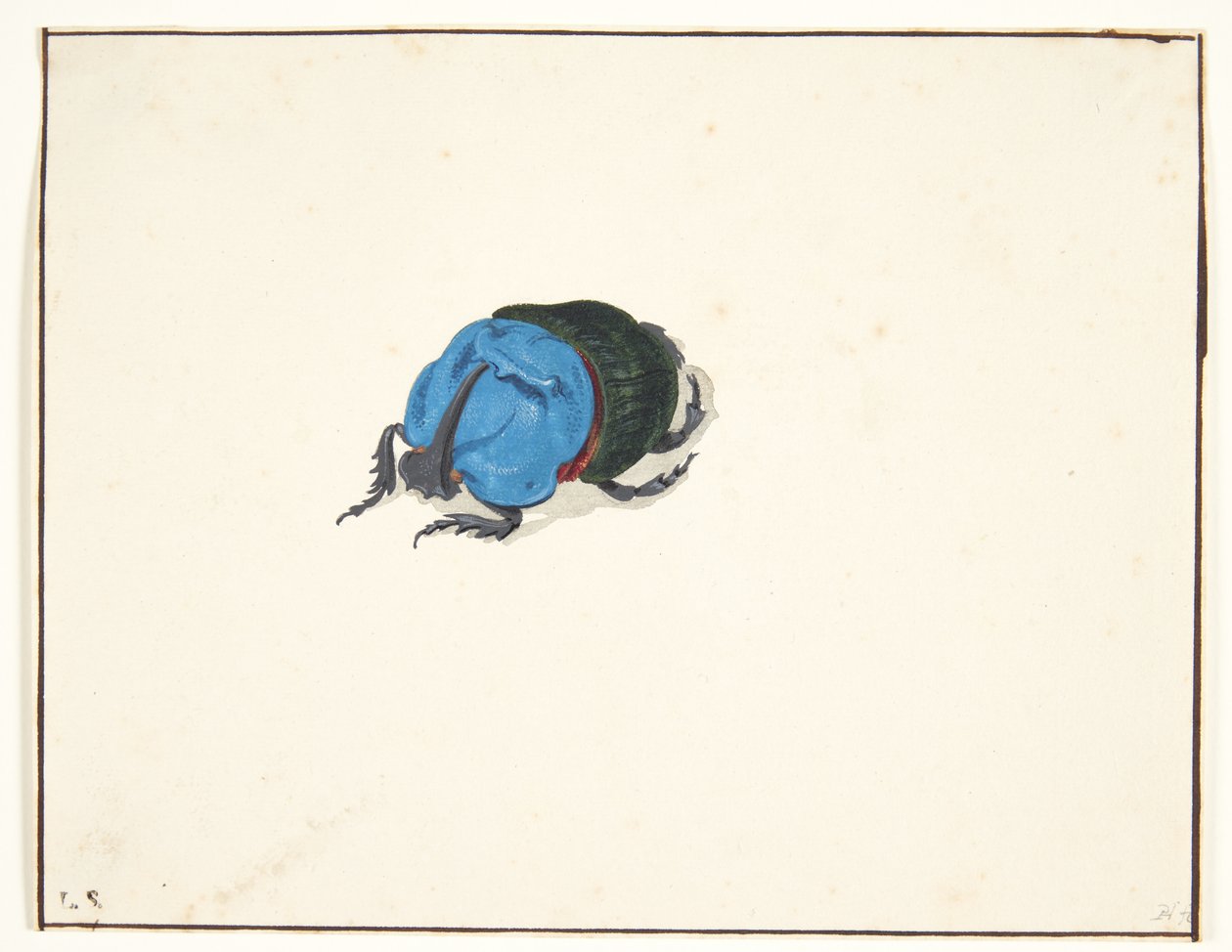 Chrząszcz nosorożca (scarabaeidae) autorstwa Pieter Holsteijn