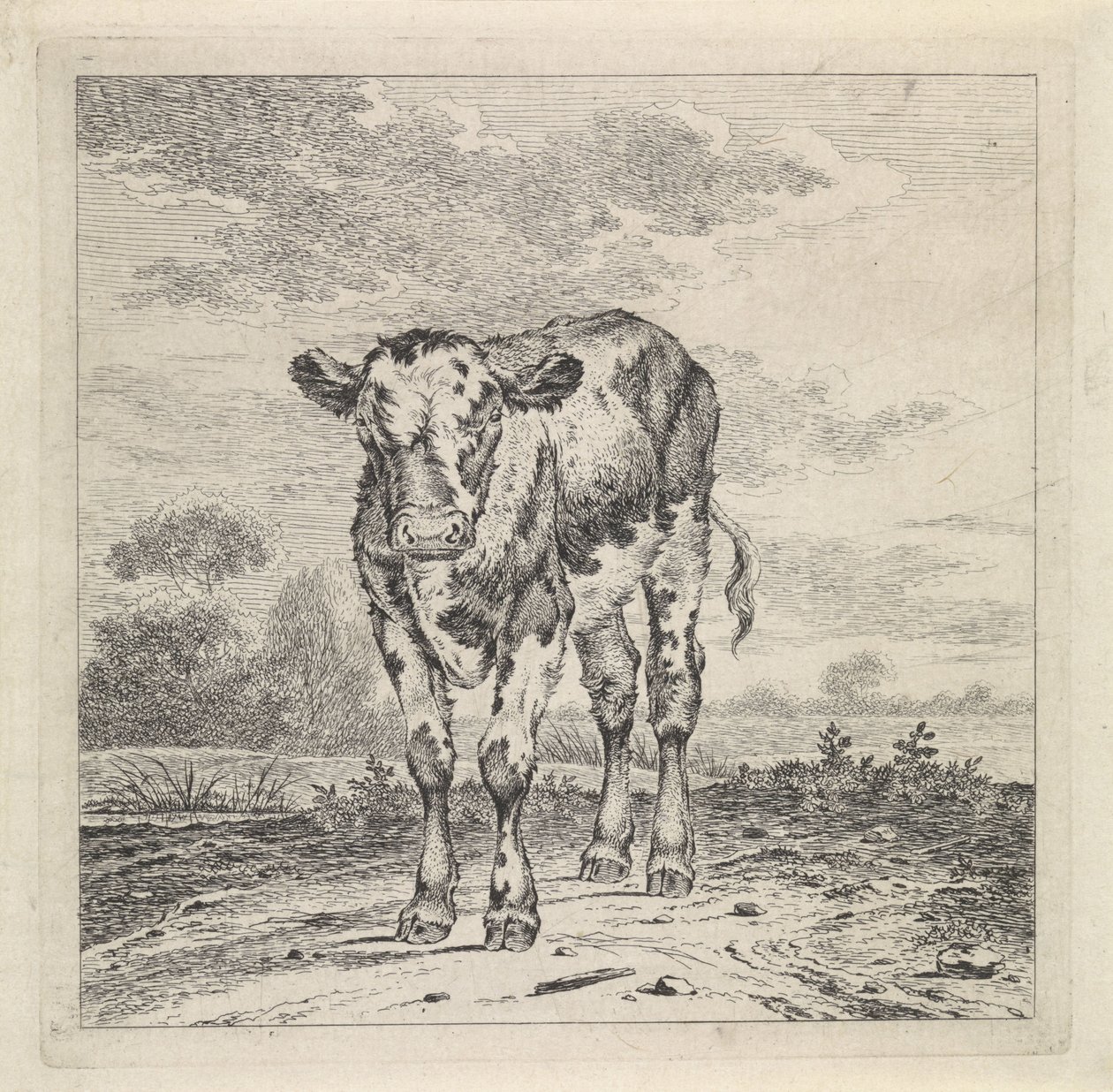 Pejzaż z łydką autorstwa Pieter Janson
