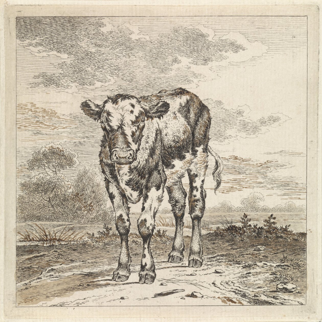 Pejzaż z łydką autorstwa Pieter Janson