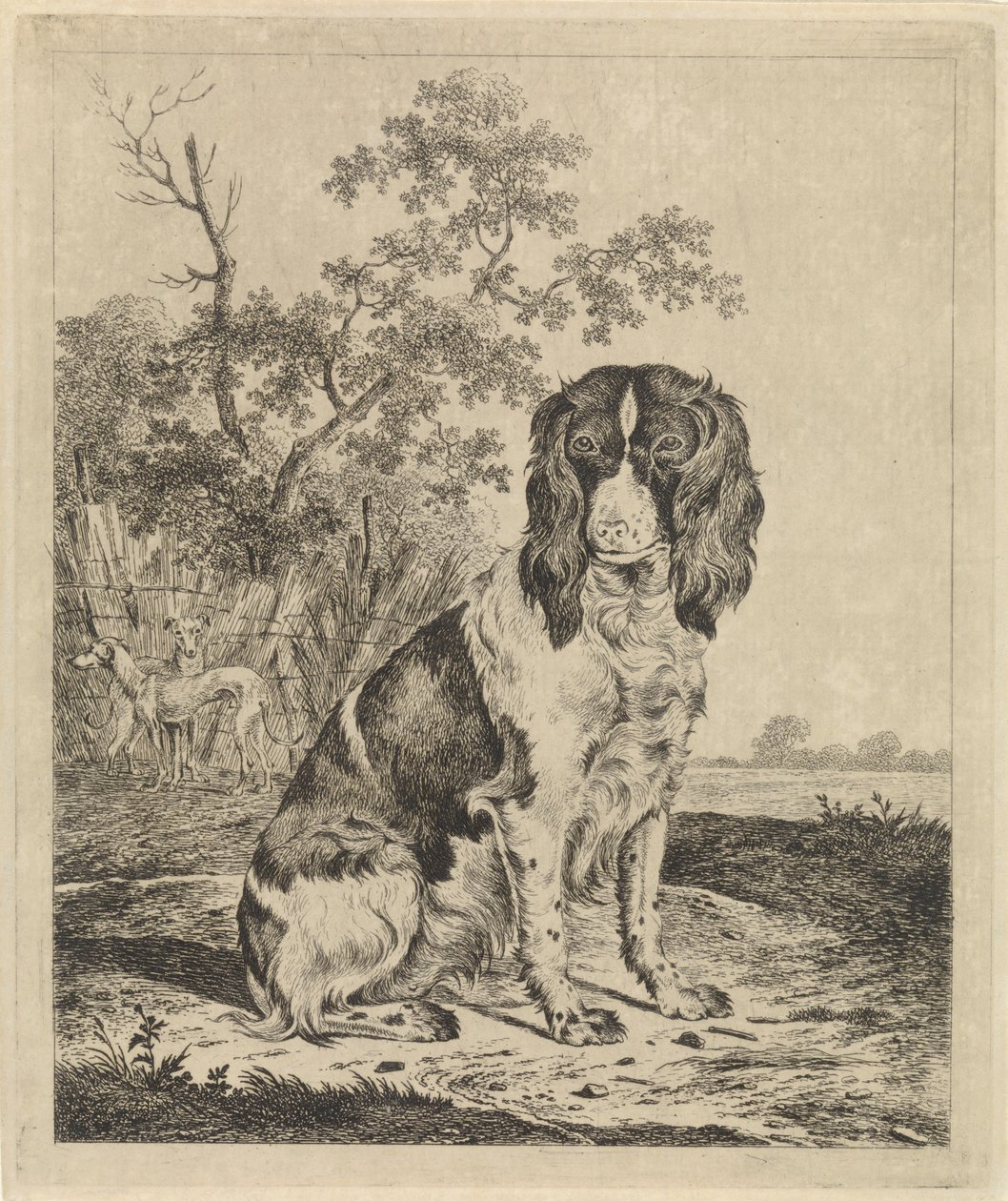 Siedzący pies kuropatwy autorstwa Pieter Janson
