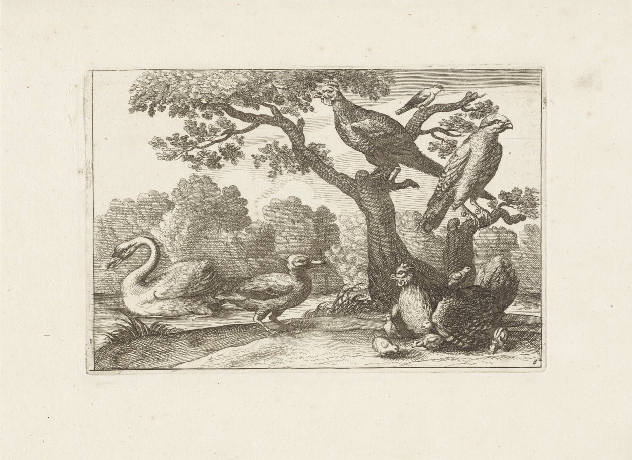 Kip met kuikens en andere vogels Różne ptaki (tytuł serii) Najdoskonalsze figury różnych ptaków (...) (tytuł serii) autorstwa Pieter Schenk (I) (attributed to)