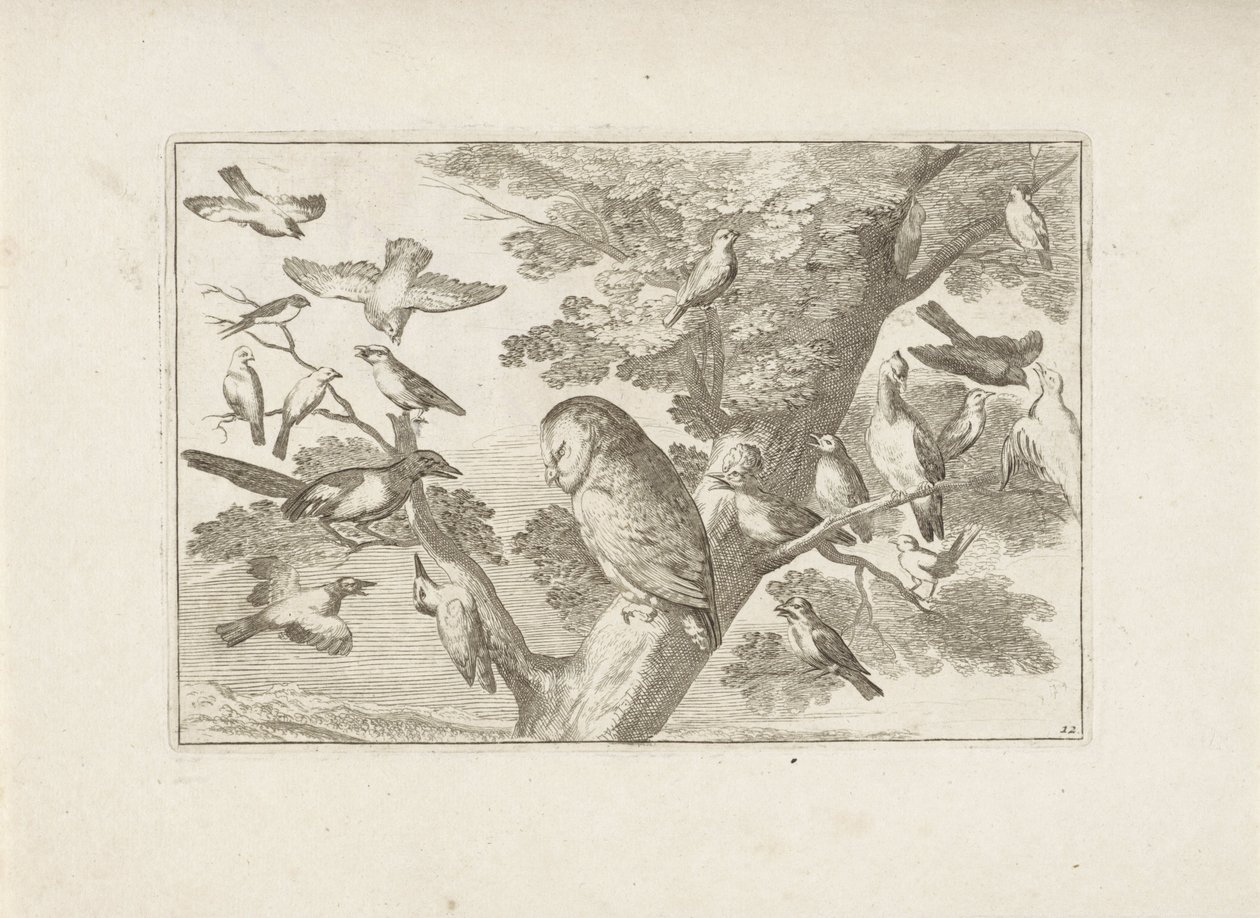 Uil en andere vogels in boom Różne ptaki (tytuł serii) Najdoskonalsze figury różnych ptaków (...) (tytuł serii) autorstwa Pieter Schenk (I) (attributed to)