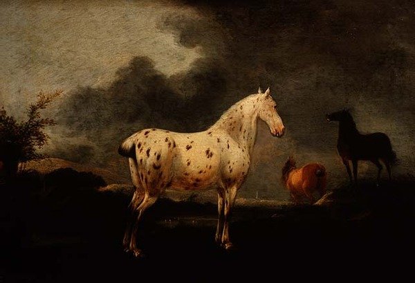 Pejzaż z pstrokatym koniem, ok. 1670 (olej na desce) autorstwa Pieter Wouwermans or Wouwerman