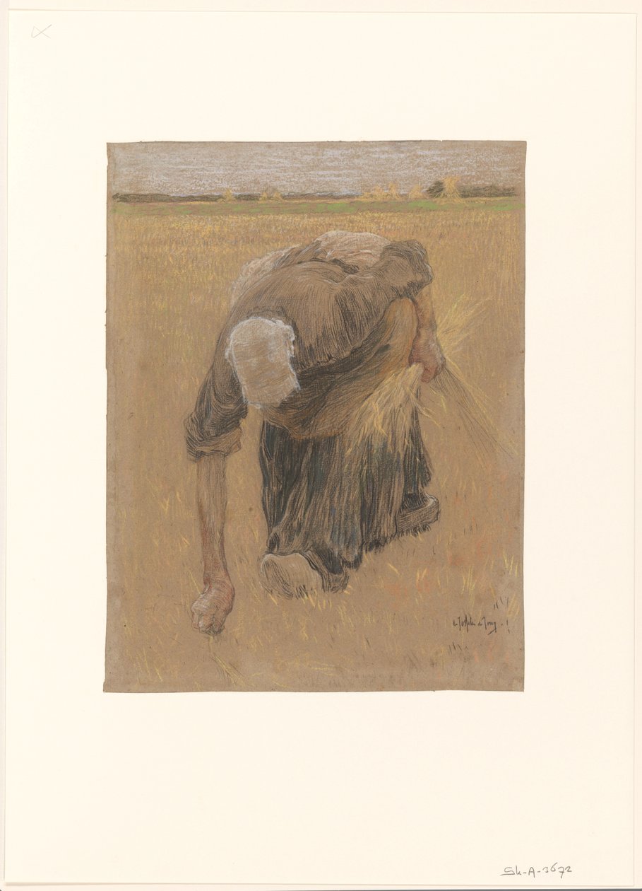 pokłosie kobiety autorstwa Pieter de Josselin