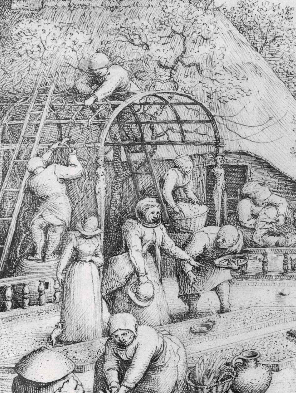 Szczegóły wiosny autorstwa Pieter Bruegel the Elder