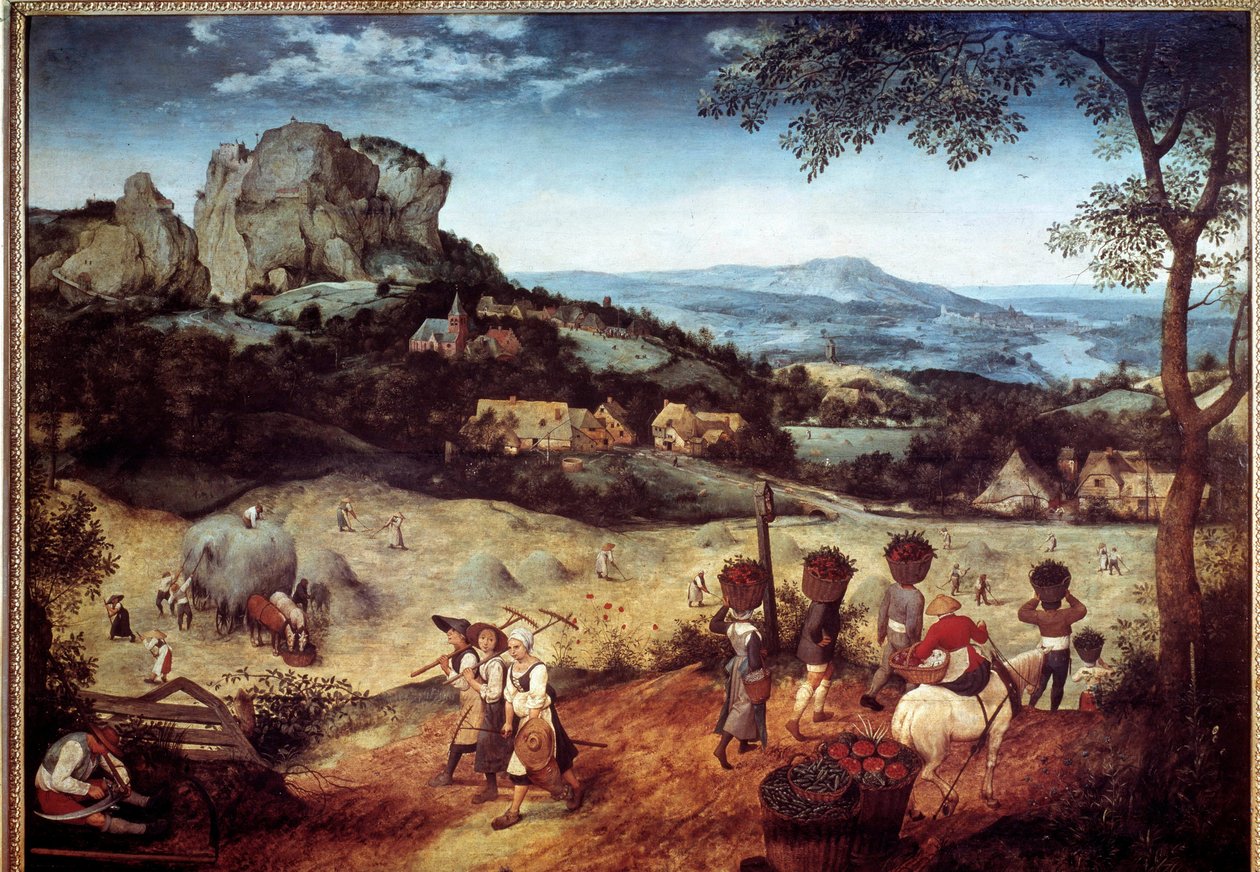 Rekolacja siana Obraz Pietera Bruegla (lub Breugel lub Brueghel lub Breughel) Starszy (1525-1569) XVI-wieczna Praga, Galeria Narodowa autorstwa Pieter Bruegel the Elder