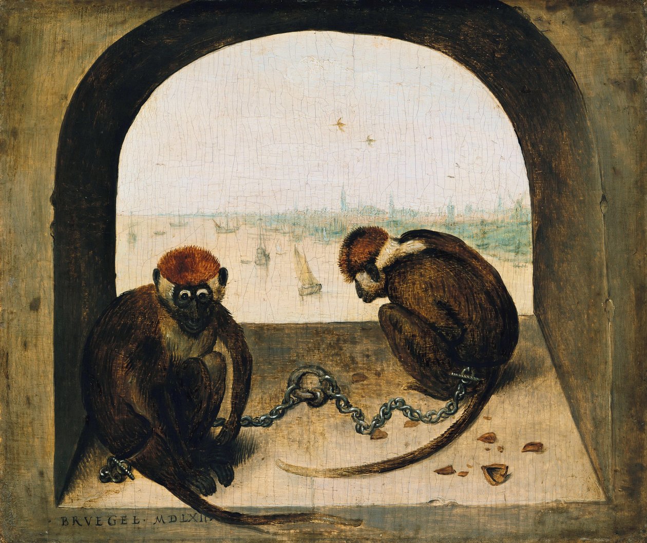 Dwie przykute małpy autorstwa Pieter Bruegel the Elder