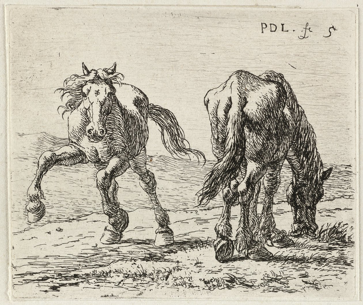 Niemiecki: Zwei Pferde auf einer Weide
Francuski: Les deux chevaux au pâturage
Dwa konie na łące autorstwa Pieter van Laer