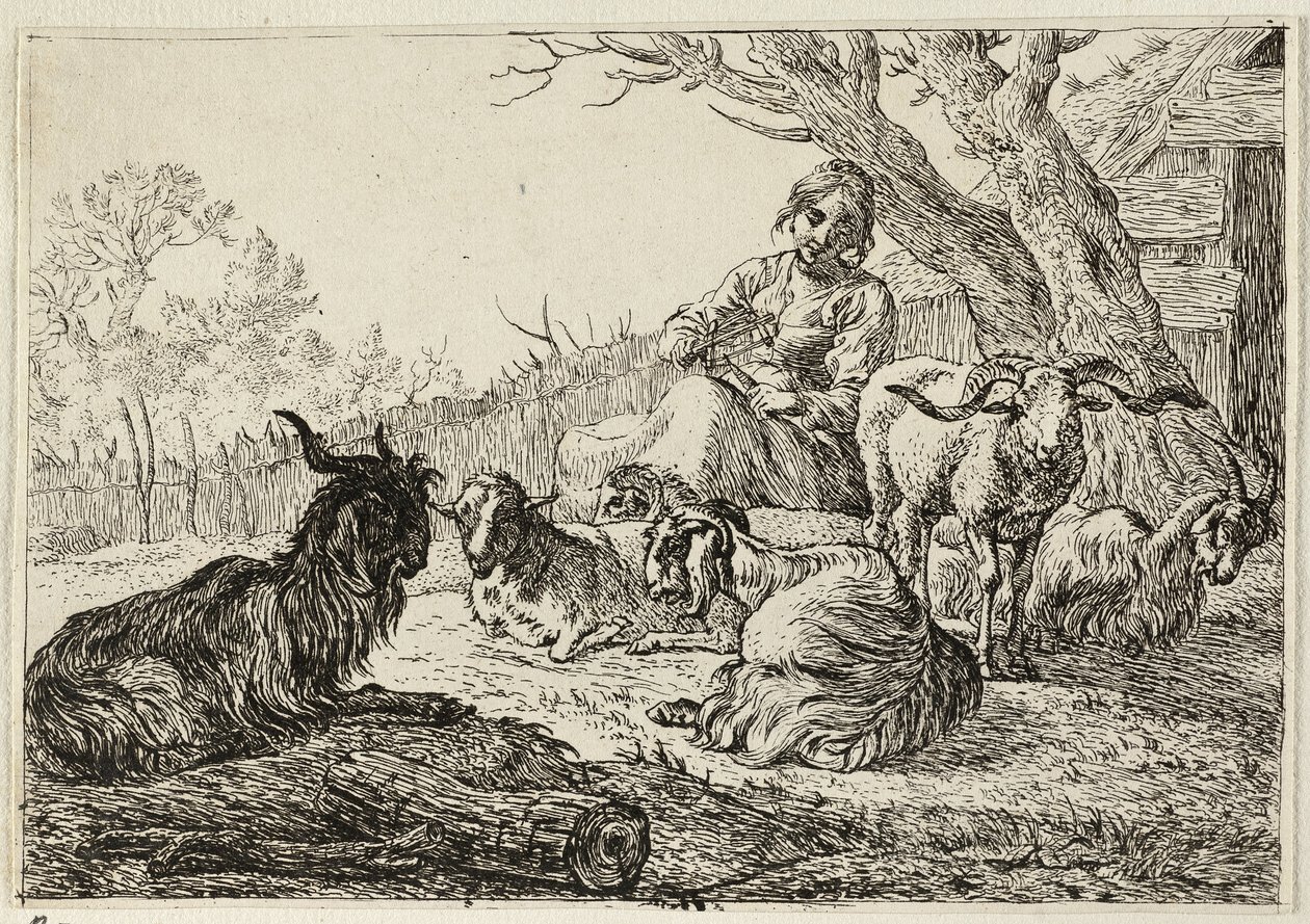 Sheperdess wśród kóz i owiec autorstwa Pieter van Laer