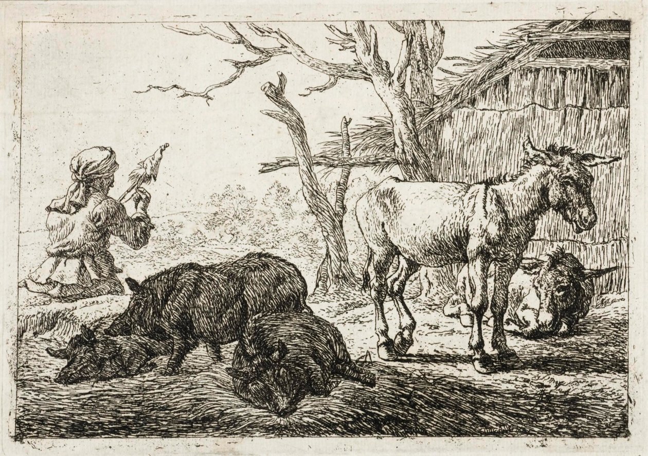 Świnie i osły w stajni, po lewej kobieta prządka autorstwa Pieter van Laer