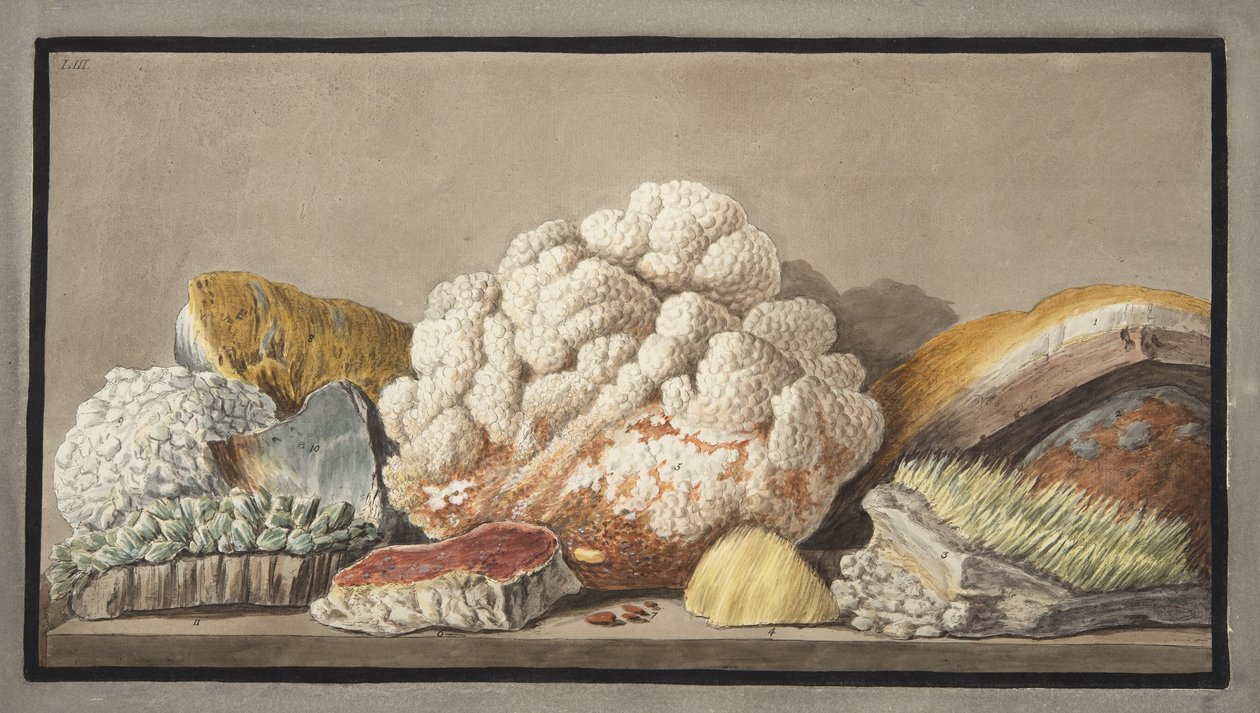 Productions of the Solfaterra, płyta 9 z „Campi Phlegraei: Observations on the Volcanoes of the Two Sicilies”, Sir William Hamilton (1730-1803), opublikowana w 1776 r. autorstwa Pietro Fabris