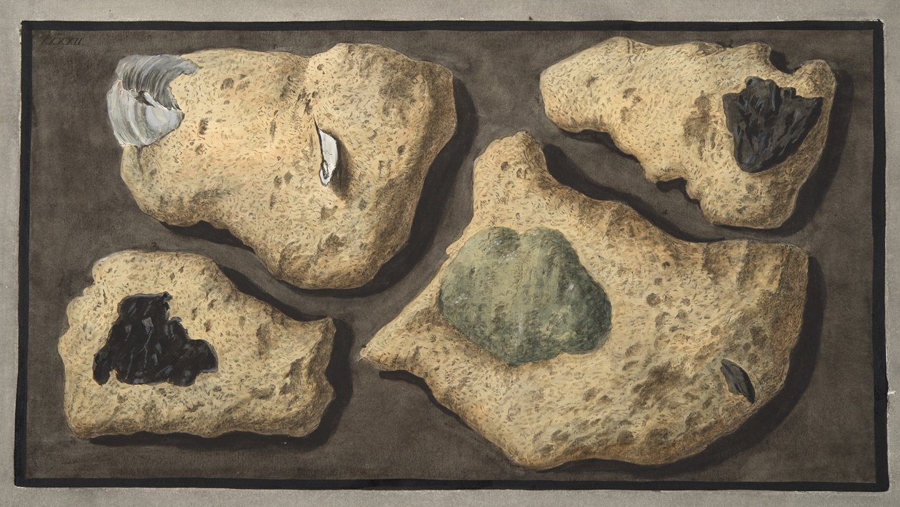Okazy tufów z kamieniołomów w pobliżu groty Posillipo, tablica XXXXII, z „Campi Flegrei: Obserwacje wulkanów Dwóch Sycylii” Sir Williama Hamiltona (1730-1803), publikuje autorstwa Pietro Fabris