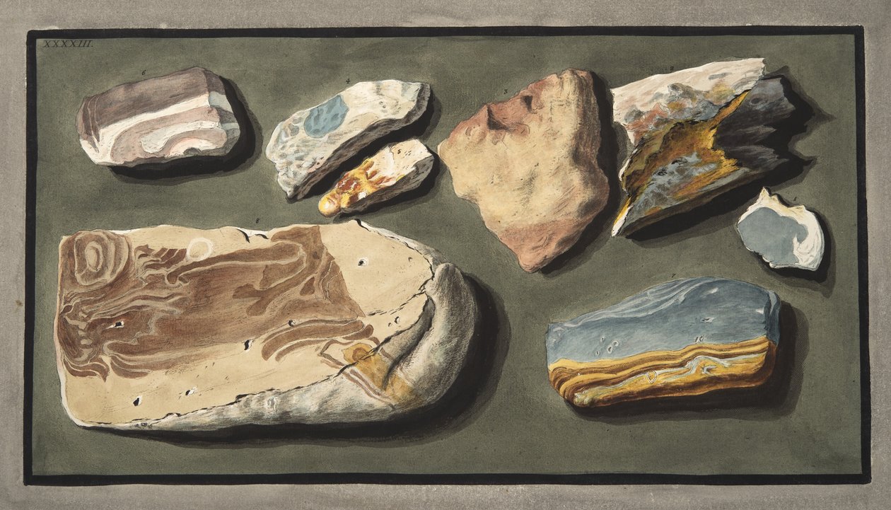 Okazy ciekawej materii wulkanicznej pobranej z pustej drogi prowadzącej z Pisciarelli do Solfaterry, Plate XXXXIII, z "Campi Phlegraei: Obserwacje na temat wulkanów Dwóch Sycylii", autorstwa autorstwa Pietro Fabris
