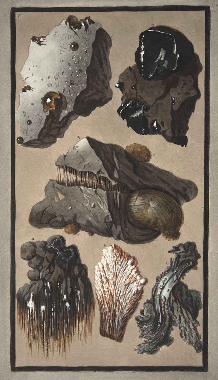 Okazy materii wulkanicznej, z "Campi Phlegraei: Observations on the Volcanoes of the Two Sicilies", Sir William Hamilton (1730-1803), opublikowanej w 1776 r. (rycina ręcznie kolorowana) autorstwa Pietro Fabris