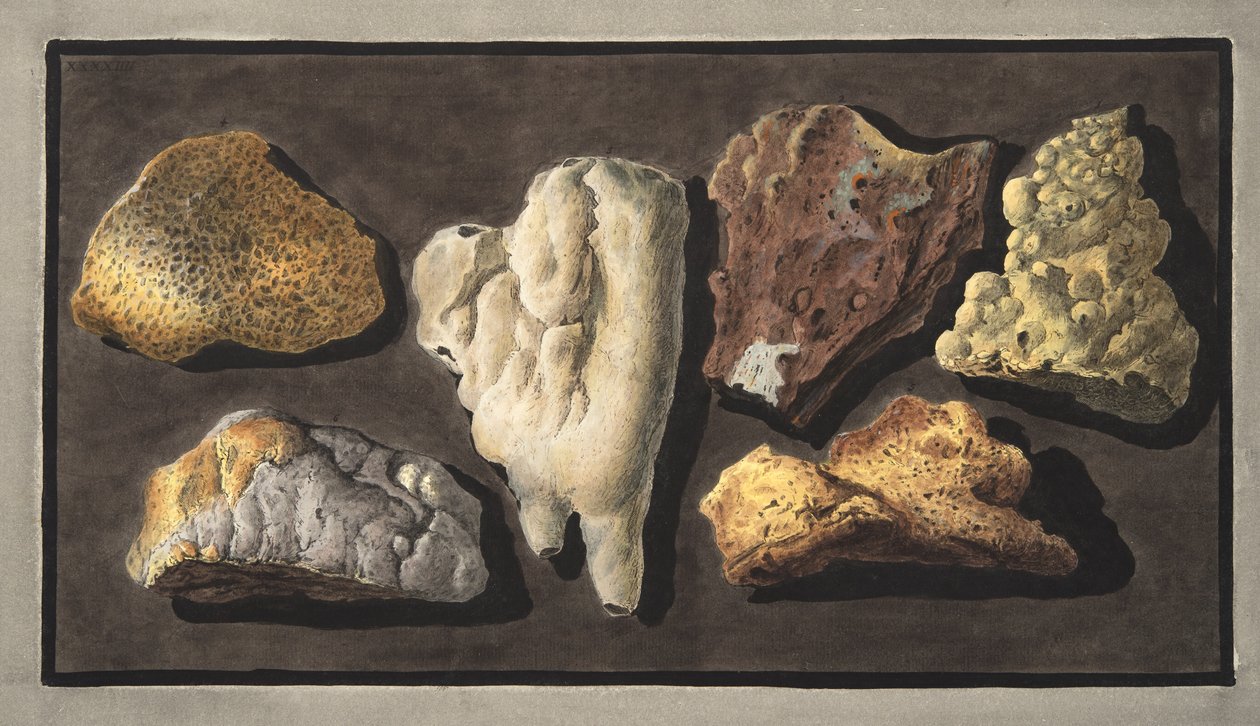Okazy materii wulkanicznej pobrane z wnętrza krateru Wezuwiusza, płyta XXXXIV, z „Campi Phlegraei: Observations on the Volcanoes of the Two Sicilies”, Sir William Hamilton (1730-180 autorstwa Pietro Fabris