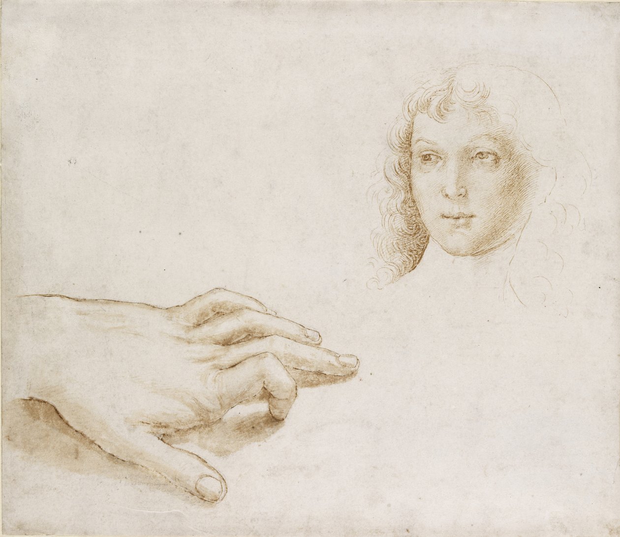 Studia głowy i ręki, WA1846.8 autorstwa Pietro Perugino