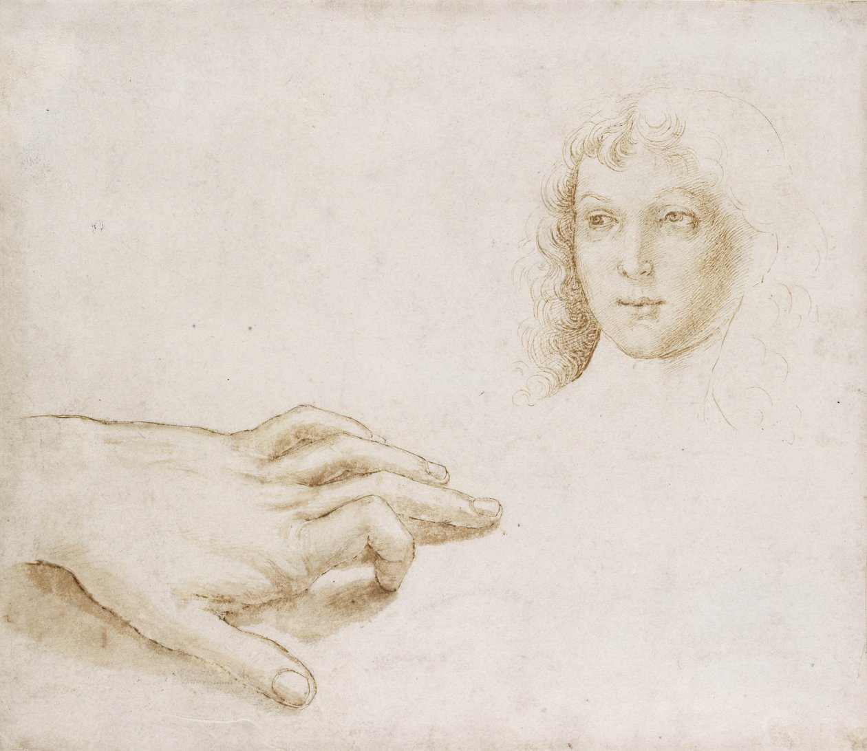 Studia głowy i dłoni (pióro i pędzel w jasnobrązowym tuszu na metalpoint na białym papierze) autorstwa Pietro (circle of) Perugino