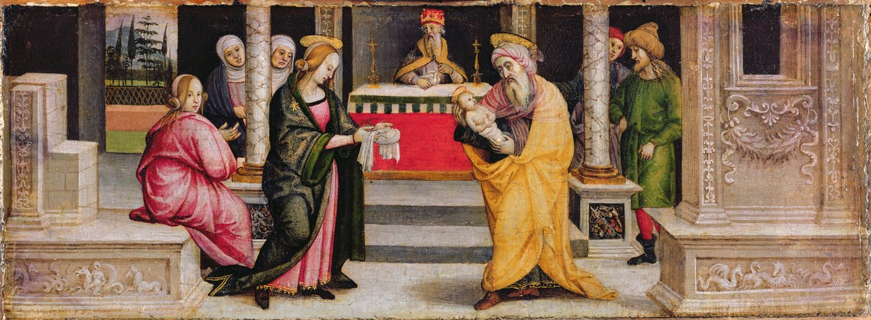 Ofiarowanie w świątyni, ok. 1510 r. (tempera na desce) autorstwa Pietro (follower of) Perugino
