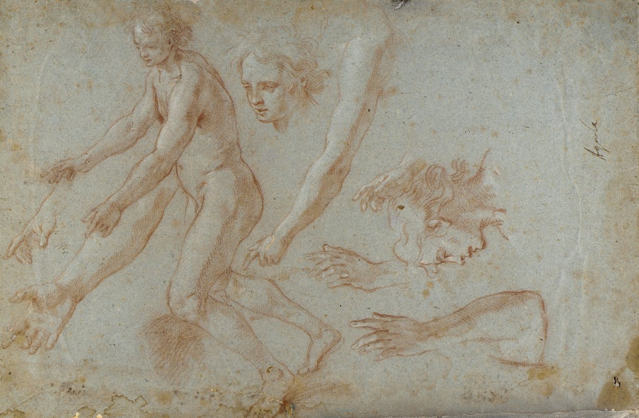Rysunek autorstwa Pietro Aquila