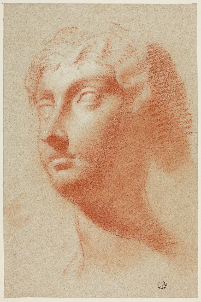 Głowa kobiety autorstwa Pietro Dandini