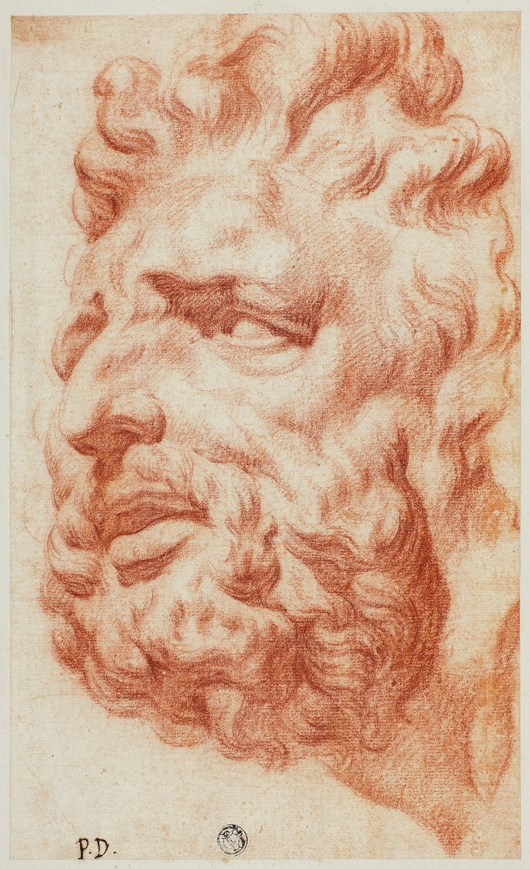 Głowa Laokoona autorstwa Pietro Dandini