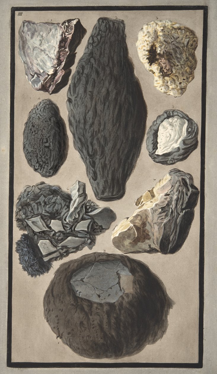 Okazy materii wulkanicznej, z "Campi Phlegraei: Observations on the Volcanoes of the Two Sicilies", Sir William Hamilton (1730-1803), opublikowanej w 1776 r. (rycina ręcznie kolorowana) autorstwa Pietro Fabris