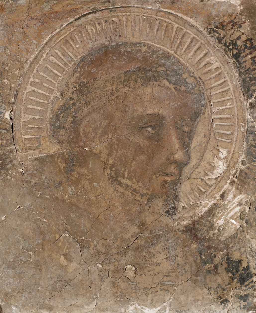 Głowa franciszkanina, 1319-47. autorstwa Pietro Lorenzetti