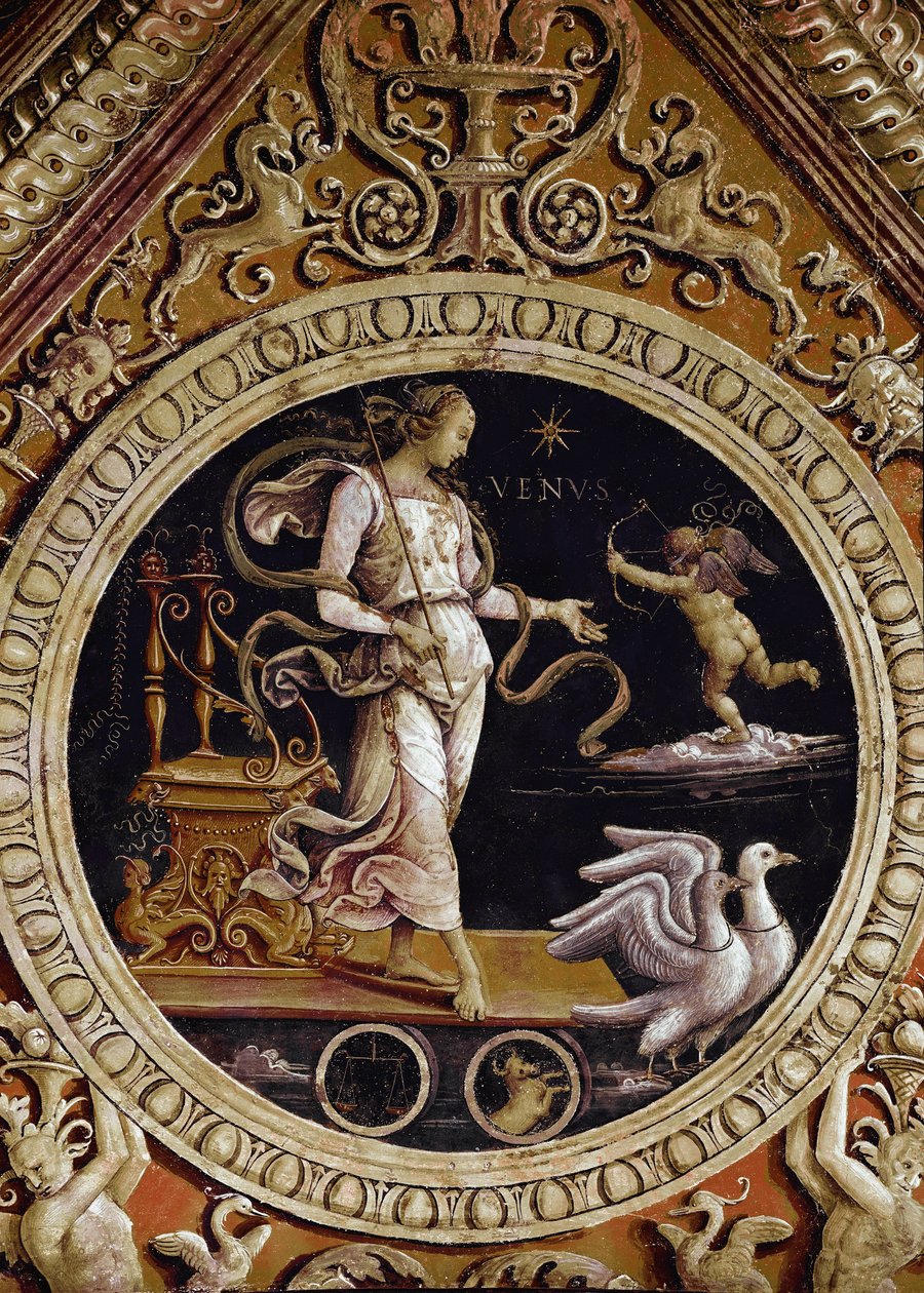 Alegoryczne przedstawienie Wenus (Fresco autorstwa Pietro Perugino