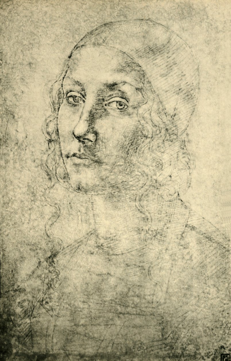 Portret kobiety, koniec XV-początek XVI wieku, 1943. autorstwa Pietro Perugino
