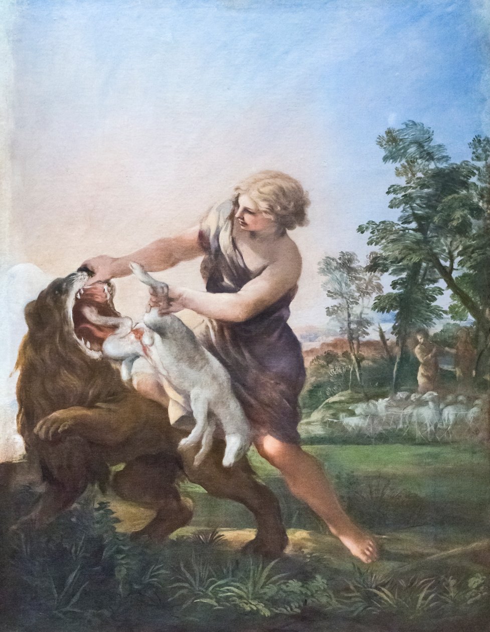 David zabijający lwa (olej na płótnie) autorstwa Pietro da (1596 1669) Cortona