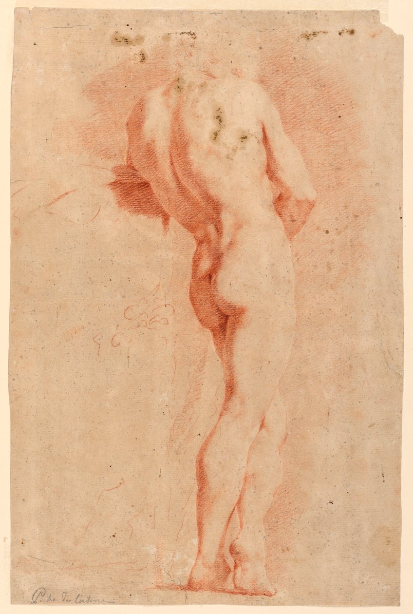 Studium figuralne autorstwa Pietro da Cortona