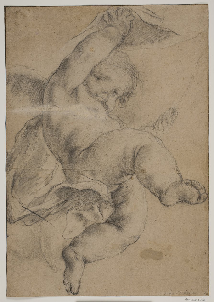 Latające putto podnoszące zasłonę autorstwa Pietro da Cortona