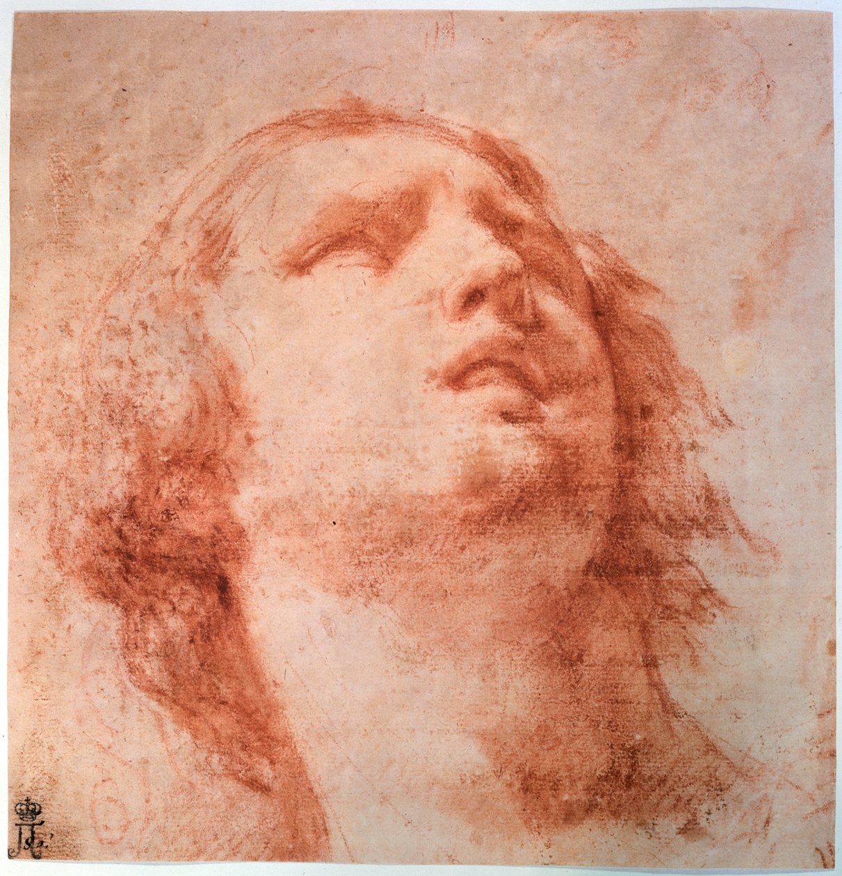 Studium głowy kobiety patrzącej w górę, XVII wiek autorstwa Pietro da Cortona
