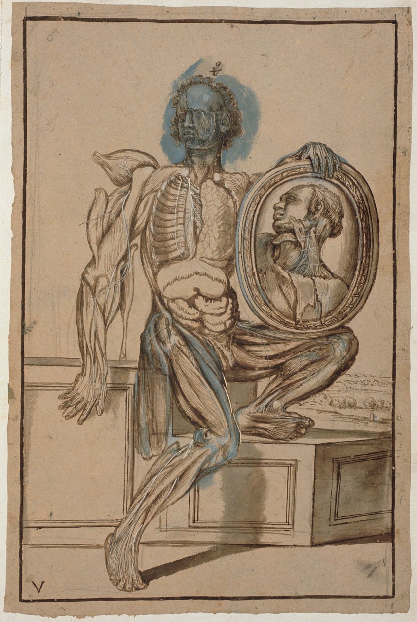 Ms Hunter 653 Płyta V Rysunek anatomiczny, ok. 1610 (ołówek i kreda na papierze) autorstwa Pietro da Cortona