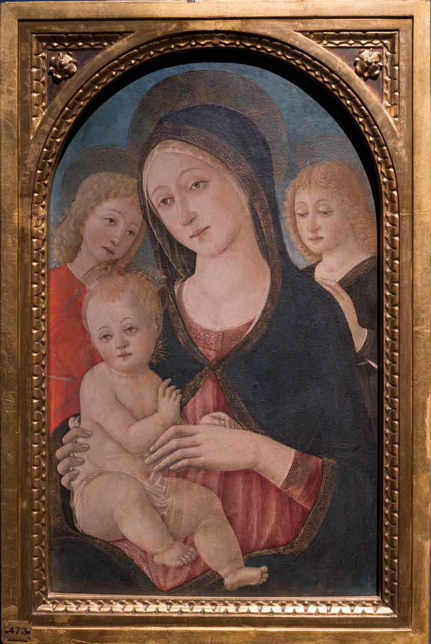 Madonna z Dzieciątkiem z dwoma aniołami, ok. 1480 (olej na desce) autorstwa Pietro di Francesco degli Orioli