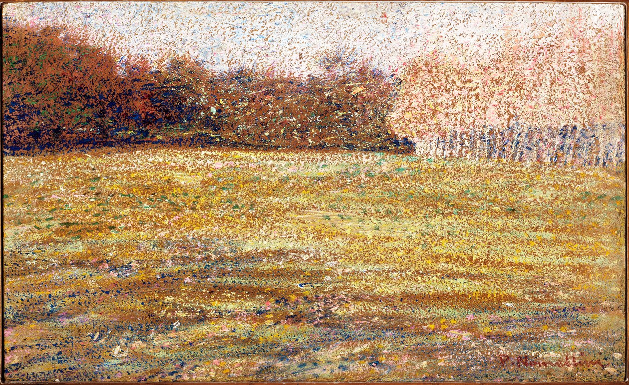 W Cascine, Florencja, 1889-90 autorstwa Plinio Nomellini