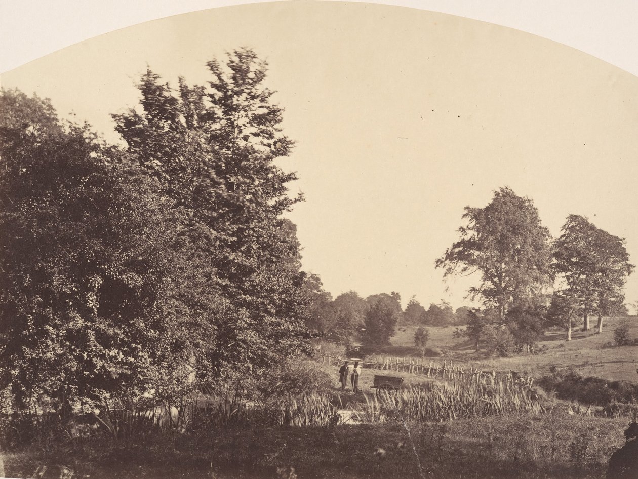 Leśny potok, 1856. autorstwa Plunket