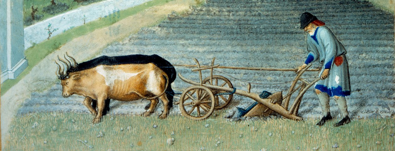 Marzec: śnieg Prace rolnicze, chłop orze pole. Szczegół. Miniatura w „Bardzo bogatych godzinach księcia Berry” Pol De Limburg (XV w.). Chantilly, Musee Conde autorstwa Pol de Limbourg