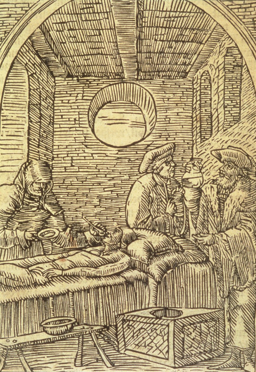 Podawanie Ziół Leczniczych, 1534 autorstwa Polish School