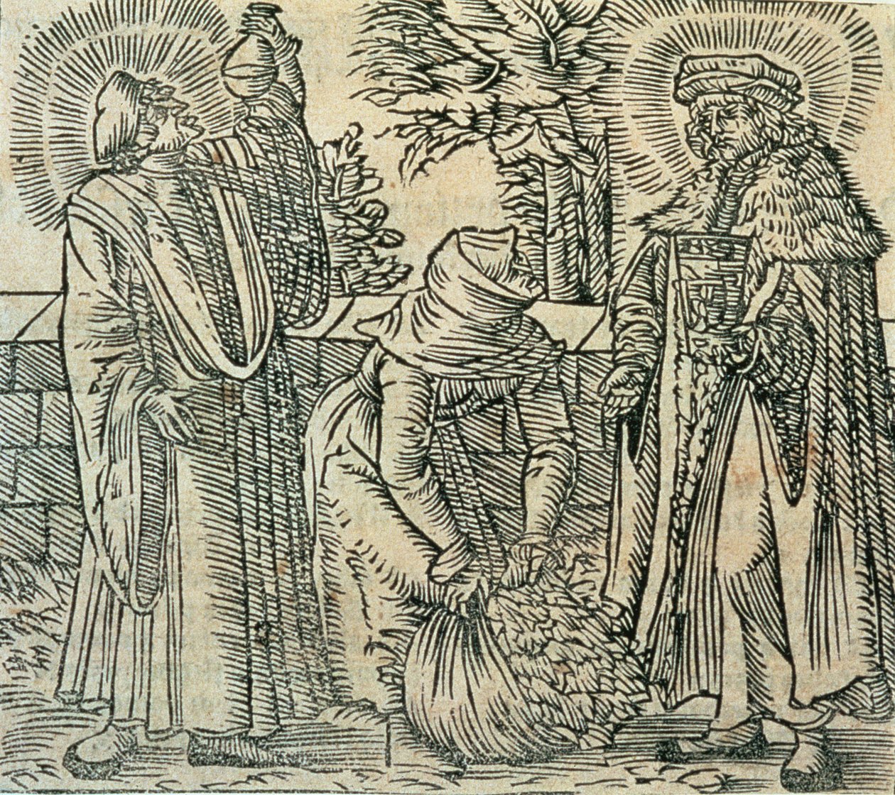 Zbieranie ziół dla medycyny, 1534 autorstwa Polish School