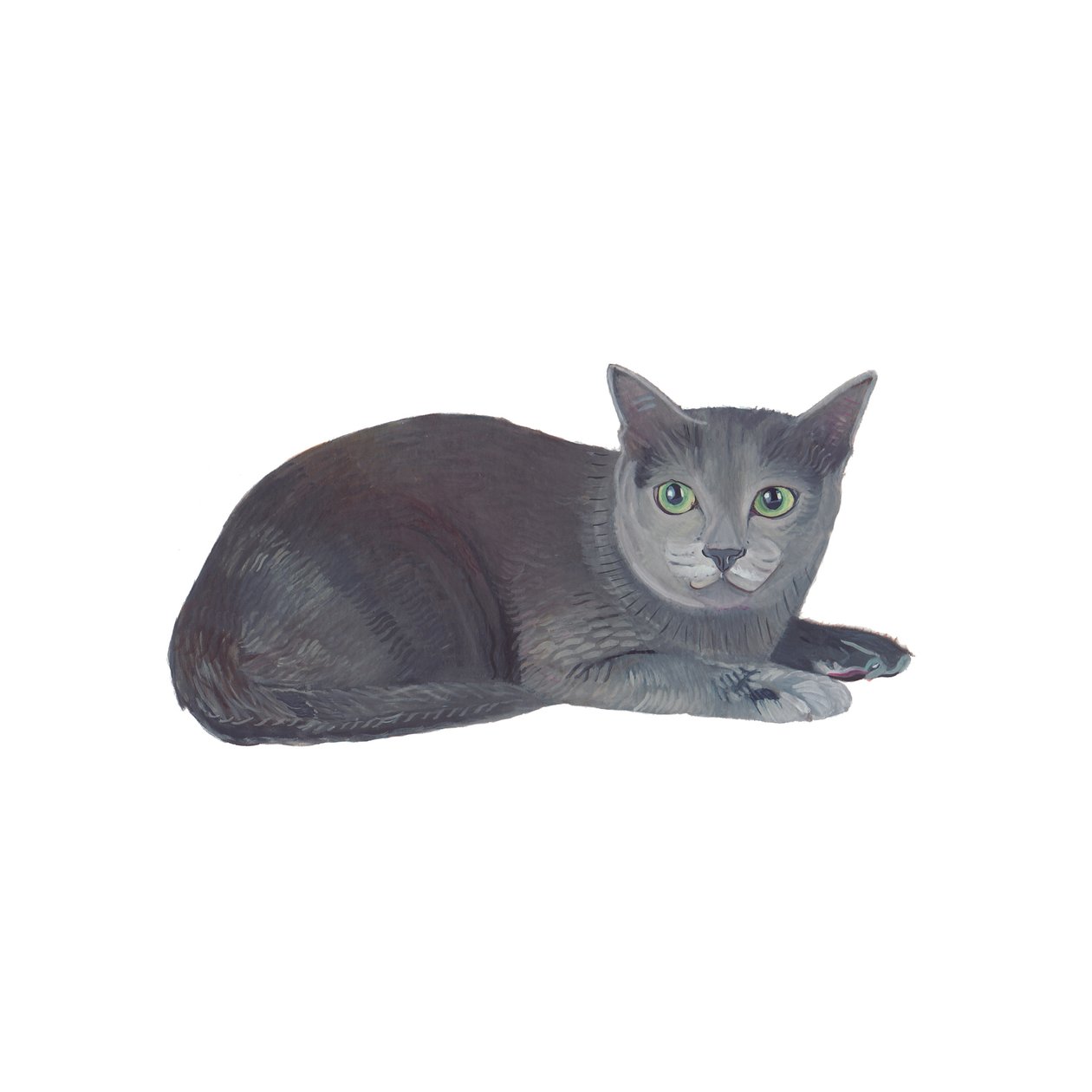 Korat, 2014 (akwarela i gwasz na papierze) autorstwa Polly Horner
