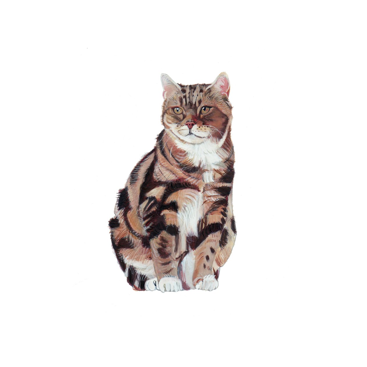 Manx, 2014 (akwarela i gwasz na papierze) autorstwa Polly Horner