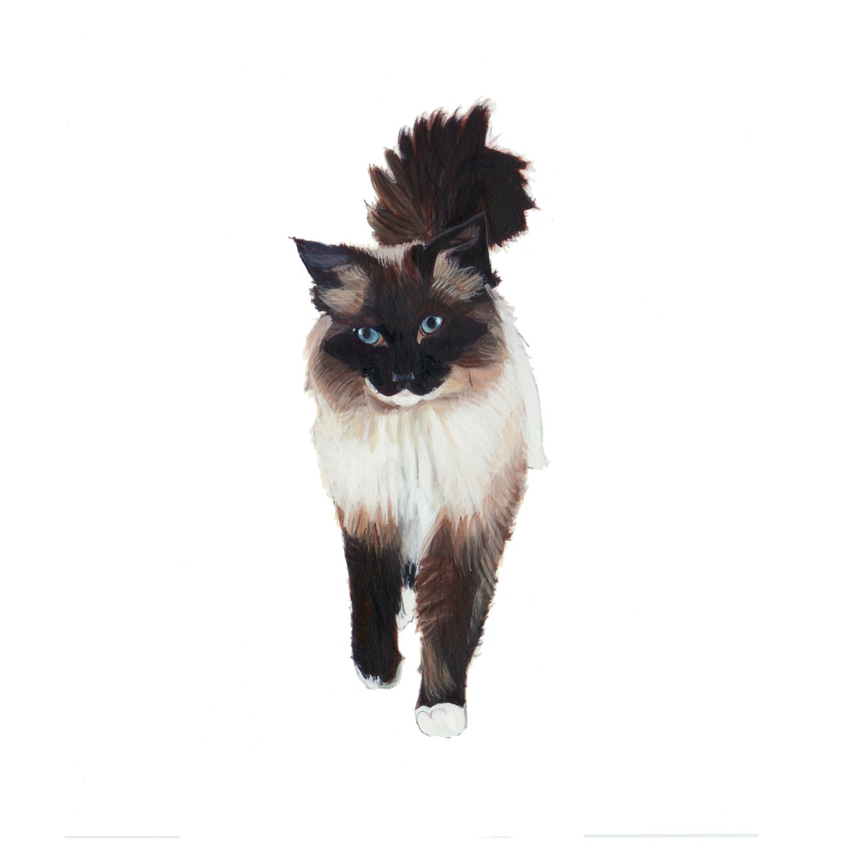 Ragdoll, 2014 (akwarela i gwasz na papierze) autorstwa Polly Horner